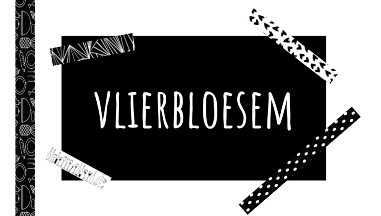 Maken met vlierbloesem